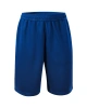 Pánské kraťasy MILES - královská modrá