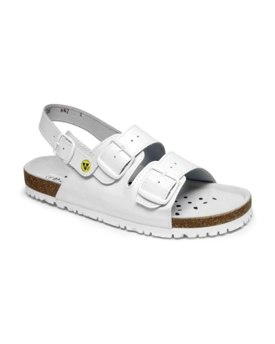 1718_01.jpg 1718_01.jpg